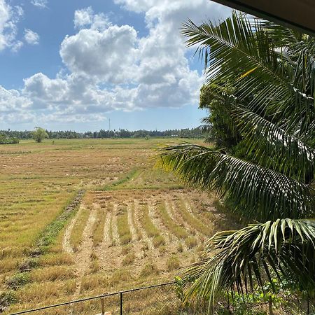 Lavender Home Yala Safari ティッサマハーラーマ エクステリア 写真