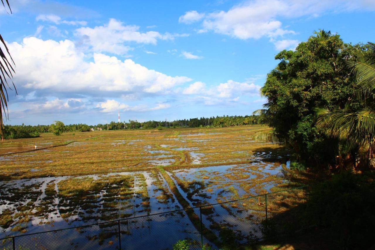 Lavender Home Yala Safari ティッサマハーラーマ エクステリア 写真