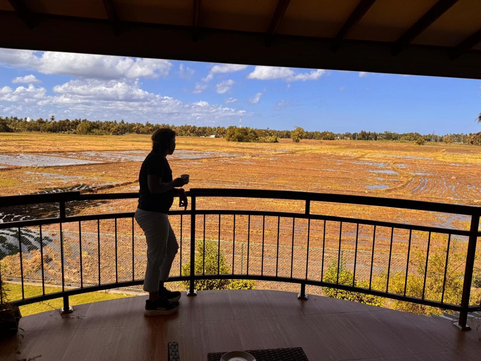 Lavender Home Yala Safari ティッサマハーラーマ エクステリア 写真