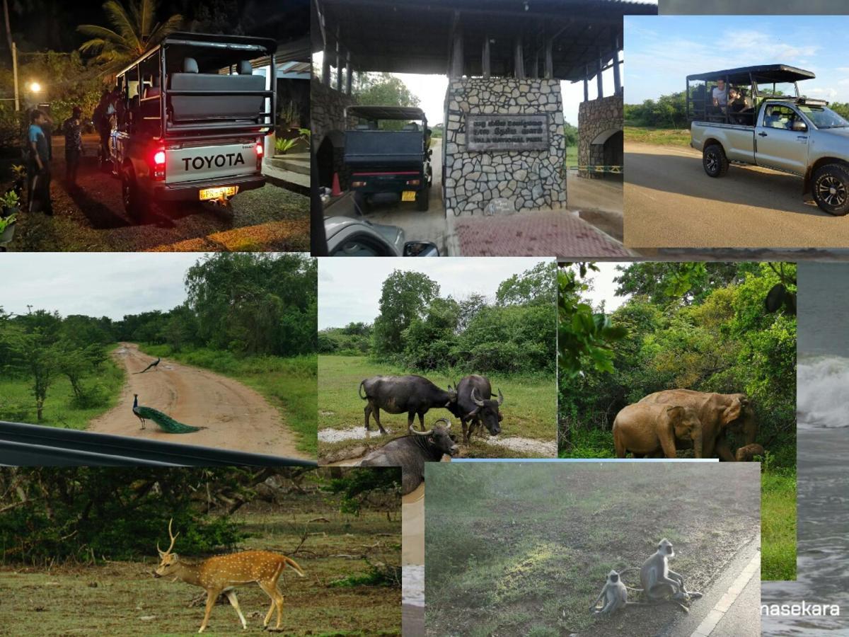 Lavender Home Yala Safari ティッサマハーラーマ エクステリア 写真