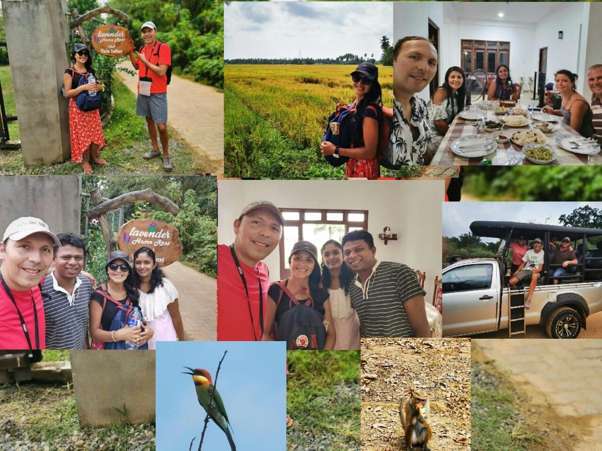 Lavender Home Yala Safari ティッサマハーラーマ エクステリア 写真